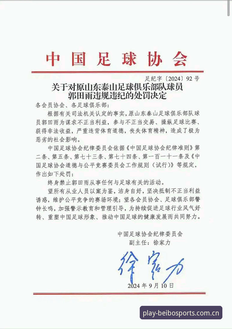 贝博体育在线登录 中国足协第三批禁足名单深度解读:从案例看足球反腐完整指南